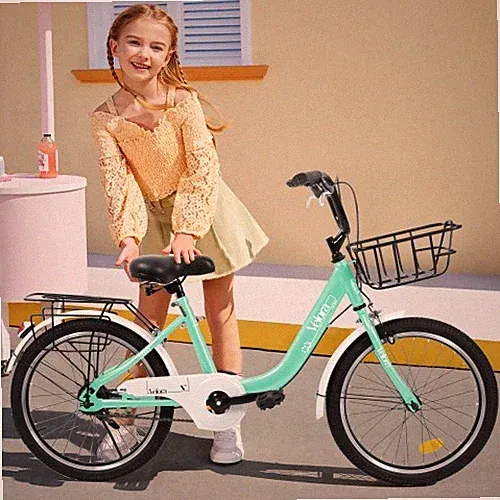 20in Children's Bicycle 1-Speed Coaster Brake V-Brake Rear Rack Kids Bike