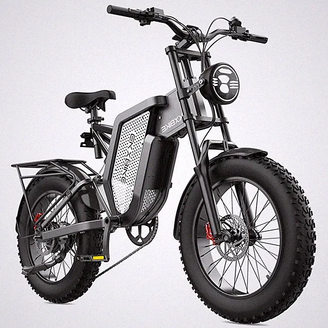Adult Ebike 20inch*4inch 2000W 48V 35AH Electric Bicycle Commuter 34MPH E-bike