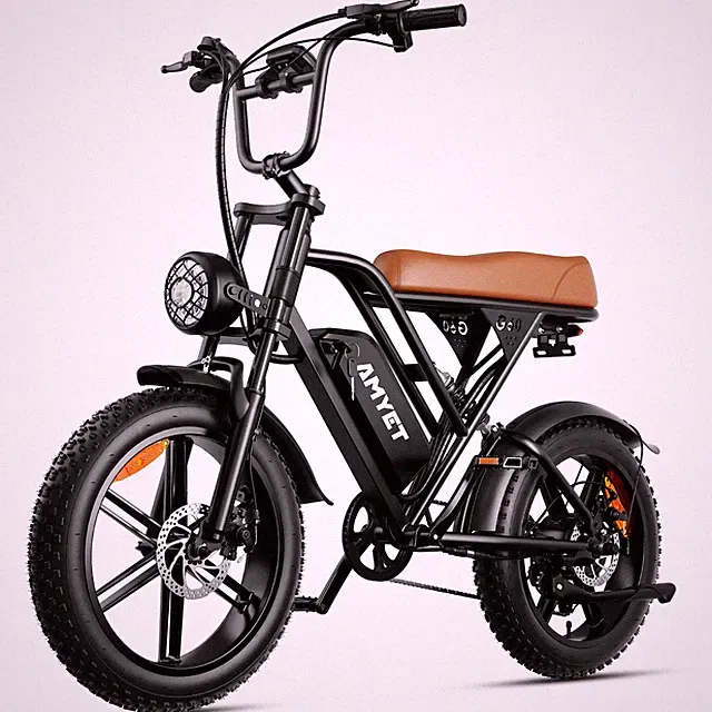 Electric Bike For Adult 1500W 48V/20Ah 20'' Fat Tire Ebike Mountain e Bicycle US