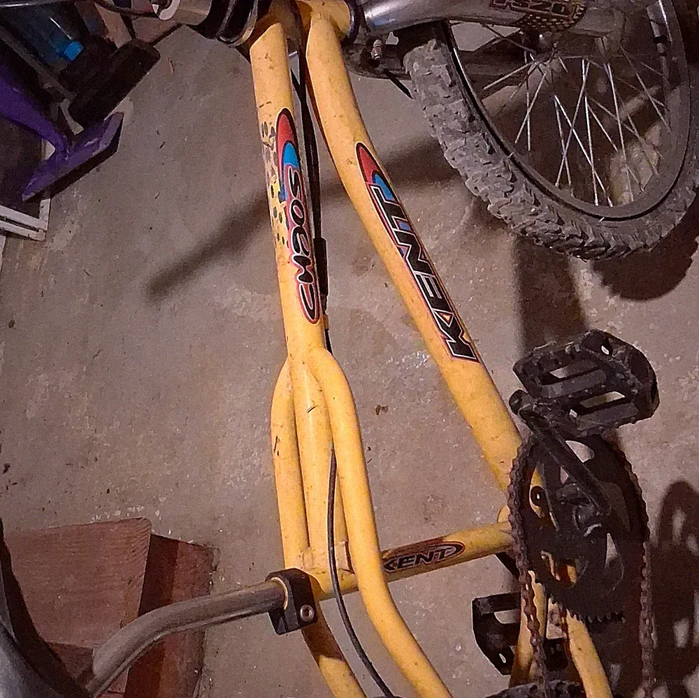 20 in BMX Bike
